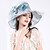 cheap Headpieces-Women&#039;s Grace Silk / Organza Headpiece-Wedding / Special Occasion / Party / Casual / Outdoor Hats 1 Piece Hair Accessories