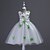 cheap Dresses-Girls&#039; Sleeveless Floral 3D Printed Graphic Dresses Floral Cotton Polyester Dress Summer Kids Toddler