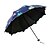cheap Umbrellas-Flower Pattern Black Gel Sunshade Sun Umbrella Creative Uv Protection Umbrella