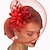 cheap Fascinators-Net Fascinators Kentucky Derby Hat/ Headwear with Floral 1PC Wedding / Special Occasion / Tea Party Headpiece