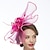 cheap Fascinators-Net Kentucky Derby Hat / Fascinators / Hats with 1 Piece Wedding / Special Occasion / Tea Party Headpiece