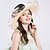 cheap Party Hats-Silk / Organza Kentucky Derby Hat / Hats with 1 Piece Wedding / Outdoor / Special Occasion Headpiece