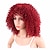 cheap Synthetic Trendy Wigs-Synthetic Wig Curly Afro Kinky Curly Curly Wig Short Red Synthetic Hair Women&#039;s African American Wig Red