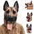 cheap Halloween Party Supplies-New Cool Wolf Dog Full Face Mask Halloween Gifts Eco-Friendly Nature Latex Lifelike Dog Head Mask For Cosplay Party Dress Up
