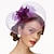 levne Fascinátory-síťové fascinátory kentucky derby klobouk/ pokrývka hlavy s květinovým 1ks svatební / zvláštní příležitost / čelenka na čajový dýchánek