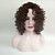 cheap Black &amp; African Wigs-Synthetic Wig Curly Curly Wig Medium Length Medium Brown Synthetic Hair Women&#039;s African American Wig Brown