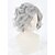 cheap Costume Wigs-Synthetic Wig Wig Gray Short Grey Synthetic Hair Women‘s Gray Halloween Wig