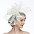 billige Coiffer-Nett Kentucky Derby-hatt / fascinators / Hatter med 1 Bryllup / Spesiell Leilighet / Te Fest Hodeplagg