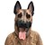 cheap Halloween Party Supplies-New Cool Wolf Dog Full Face Mask Halloween Gifts Eco-Friendly Nature Latex Lifelike Dog Head Mask For Cosplay Party Dress Up