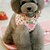 billige Hundehalsbånd og bånd-Kat Hund Seler Hundebånd Justerbare / Uttrekkbar Cosplay tekstil Nylon Rød og Rosa Svart Rosa