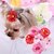 preiswerte Hundekleidung-Katze Hund Haar Accessoires Welpenkleidung Bögen Cosplay Hochzeit Hundekleidung Welpenkleidung Hunde-Outfits Rot Rosa Rose Kostüm für Mädchen und Jungen Hund Terylen