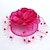 cheap Fascinators-Net Fascinators / Hats / Birdcage Veils with 1 Piece Wedding / Special Occasion / Horse Race Headpiece