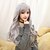 levne Anime cosplay paruky-Cosplay Paruky Dámské Dívčí 28 inch Horkuvzdorné vlákno Šedá Anime