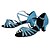 cheap Latin Shoes-Women&#039;s Dance Shoes Latin Shoes Heel Low Heel Customizable Blue / Brown / Indoor / Silk
