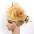 cheap Fascinators-Feather / Net Fascinators Kentucky Derby Hat / Flowers / Headwear with Floral 1PC Special Occasion / Horse Race / Ladies Day Headpiece