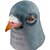 cheap Marbles-Halloween Mask Animal Mask Bird Horror Latex Rubber Glue Adults&#039; Unisex Boys&#039; Girls&#039; Toy Gift