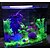preiswerte Aquarium-Deko &amp; Kiesel-Aquarium Aquarium Dekoration Fische Fisch Glas Wasserpflanze Künstliche Pflanzen Grün Dekoration Kunststoff 25*25 cm