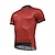 cheap Women&#039;s Cycling Clothing-ILPALADINO Men&#039;s Cycling Jersey Short Sleeve Bike Jersey Top with 3 Rear Pockets Mountain Bike MTB Road Bike Cycling Quick Dry Back Pocket Red Polyester Sports Clothing Apparel / Stretchy