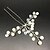 economico Copricapo da Sposa-Lega Molletta / Strumento di capelli / Hair Stick con 1 Matrimonio / Occasioni speciali / Halloween Copricapo / Perno di capelli