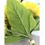 tanie Sztuczne kwiaty-Jedwab Fason europejski Bukiety na stół 1