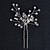cheap Headpieces-Alloy Headwear / Hair Pin with Floral 1pc Wedding / Special Occasion / Halloween Headpiece