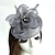 billiga Hattar och fascinators-nätfascinatorer kentucky derbyhatt/ fågelbursslöja med 1 st bröllop/speciellt tillfälle/teparty headpiece