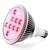 halpa Kasvien kasvatusvalot-2pcs Kasvava hehkulamppu 980 lm E27 12 LED-helmet Teho-LED Punainen Sininen 85-265 V / 2 kpl / RoHs / CCC