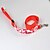 preiswerte Halsbänder, Geschirre und Leinen für Hunde-Hund Leinen Sicherheit Tarnfarben Terylen Weiß Gelb Rot Blau Rosa