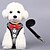 billiga Hundhalsband, selen och koppel-Katt Hund Selar Andningsfunktion Vikbar Enfärgad Terylen Svart Röd