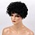 cheap Human Hair Capless Wigs-Human Hair Wig Short Curly Jerry Curl Curly Jerry Curl African American Wig For Black Women Machine Made Women&#039;s Black#1B