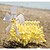 olcso Irodaszerek és -dekorációk-gyermekek oktatási kreatív szél powered diy walker robot játék mini strand teremtmény összeállítás modell játék készlet gyerek ajándék