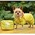 abordables Ropa para perro-Perro Impermeable Un Color Casual / Diario Ropa para Perro Amarillo Fucsia Azul Disfraz Poliéster XXS XS S M L XL
