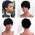 economico Parrucche di capelli veri senza cuffia-Capelli Parrucca Riccio Short Hairstyles 2020 Berry Riccio Breve Parrucca riccia stile afro A macchina Per donna Nero Naturale