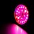 preiswerte LED Pflanzenzuchtlampe-1pc 18 W Wachsende Glühbirne 100-150 lm E26 / E27 24 LED-Perlen Hochleistungs - LED Warmes Weiß Weiß Rot 85-265 V / 1 Stück / RoHs / FCC