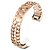 cheap Metal Watch Bands-Stainless Steel Watch Band Rose Gold 20cm / 7.9 Inches 1.8cm / 0.7 Inches
