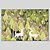 halpa Eläintaulut-Hang-Painted öljymaalaus Maalattu - Eläimet Comtemporary Sisällytä Inner Frame / Venytetty kangas