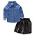 cheap Sets-Toddler Girls&#039; Clothing Set Solid Colored Color Block Long Sleeve Dresswear Regular Regular Black