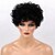 cheap Human Hair Capless Wigs-Human Hair Wig Short Curly Jerry Curl Curly Jerry Curl African American Wig For Black Women Machine Made Women&#039;s Black#1B