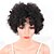 cheap Synthetic Lace Wigs-Synthetic Wig Curly Kinky Curly Kinky Curly Curly Wig Short Natural Black Synthetic Hair Women&#039;s African American Wig For Black Women Black