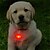 olcso Dísz- és éjszakai világítás-hkv® kerek led pet fénykibocsátó kutya fedélzeti anti-lost bell flash háziállat kutya macska kölyökkutya vezetett biztonsági éjszakai fény pendant