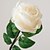abordables Flores artificiales-Flores Artificiales 1 Rama Clásico / Europeo Plantas Flor de Mesa