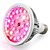 baratos Luz LED Ambiente-1pç Lâmpada crescente 200-300 lm E26 / E27 24 Contas LED LED de Alta Potência Branco Quente Branco Natural Vermelho 85-265 V / 1 pç