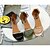 preiswerte Damensandalen-Damen Sandalen Blockabsatz Sandalen Schnalle Blockabsatz Offene Spitze Leuchtende Sohlen Kleid PU Herbst Frühling Schwarz Armeegrün Khaki