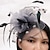 economico Fascinator-Fascinator con piume/rete cappello derby del Kentucky/veli a gabbia per uccelli con 1 pezzo di copricapo per matrimonio/festa/sera/giorno delle donne