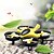 cheap RC Drone Quadcopters &amp; Multi-Rotors-RC Drone GoolRC GOOLRC T36 4ch 2 Axis 2.4G RC Quadcopter LED Lights / One Key To Auto-Return / 360°Rolling RC Quadcopter / Remote Controller / Transmmitter / Blades