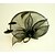 cheap Fascinators-Flax / Net Fascinators / Hats with 1 Wedding / Special Occasion Headpiece