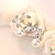 billige Mode Øreringe-Dame Kvadratisk Zirconium Stangøreringe Bladformet Damer Sølvbelagt Øreringe Smykker Hvid Til Ceremoni Valentine