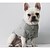 voordelige Hondenkleding-Hond T-shirts Puppy kleding Brits Casual / Dagelijks Winter Hondenkleding Puppy kleding Hondenoutfits Blauw Groen Kostuum voor Girl and Boy Dog Dons Katoen S M L XL XXL 3XL