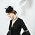cheap Fascinators-Wool Feather Fascinators Hats Headpiece Classical Feminine Style