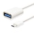 cheap USB Cables-USB 3.1 Type C to USB 3.0 Male - Female 0.1m(0.3Ft) PVC